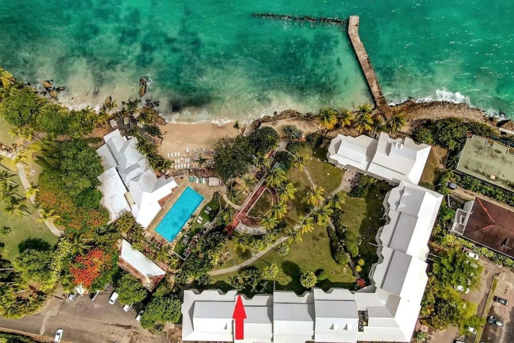 "Aime Gwada", Appartement A 40M De La Plage, Rez-De-Jardin Tropical Le Gosier  Ngoại thất bức ảnh